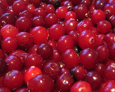 http://www.samara-produkt.3dn.ru/_fq/0/59564231.jpg
